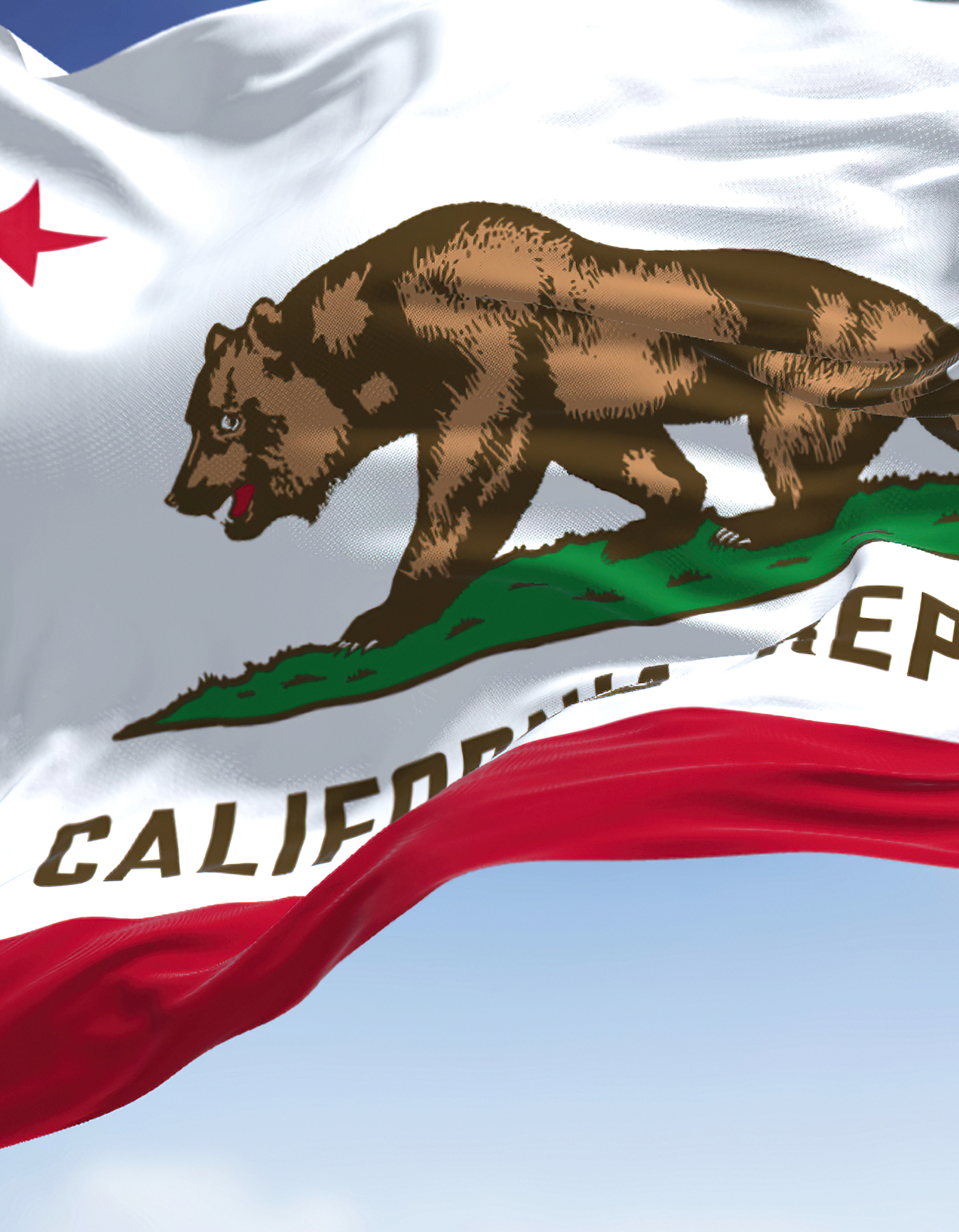 California Flag